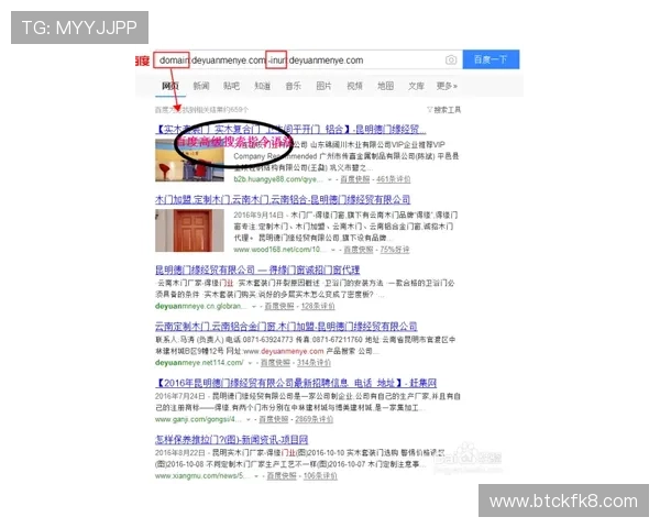 如何准确查询凯发网官方网站地址确保账号安全与游戏体验优化指南